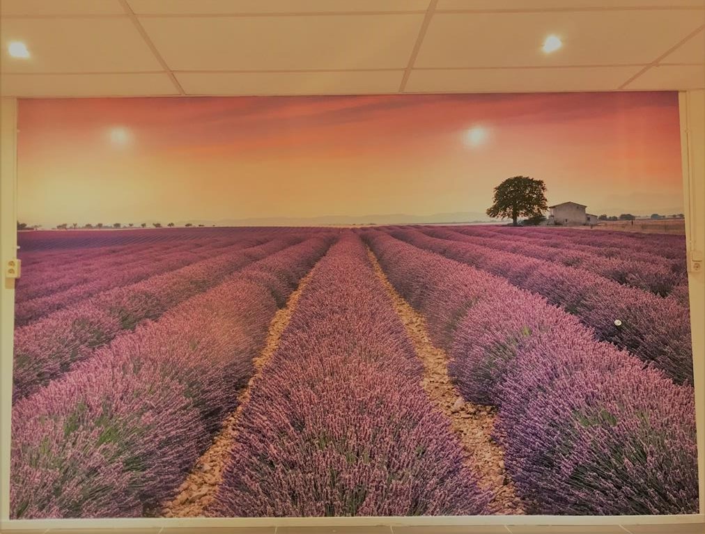 Lavendel Kamer Plaat